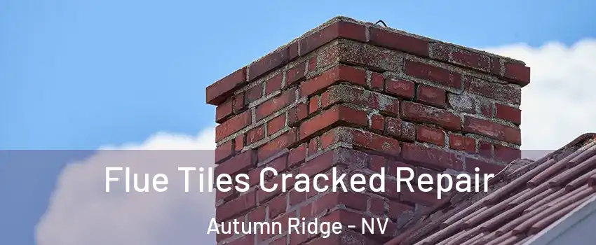 Flue Tiles Cracked Repair Autumn Ridge - NV