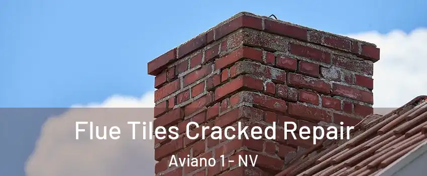 Flue Tiles Cracked Repair Aviano 1 - NV