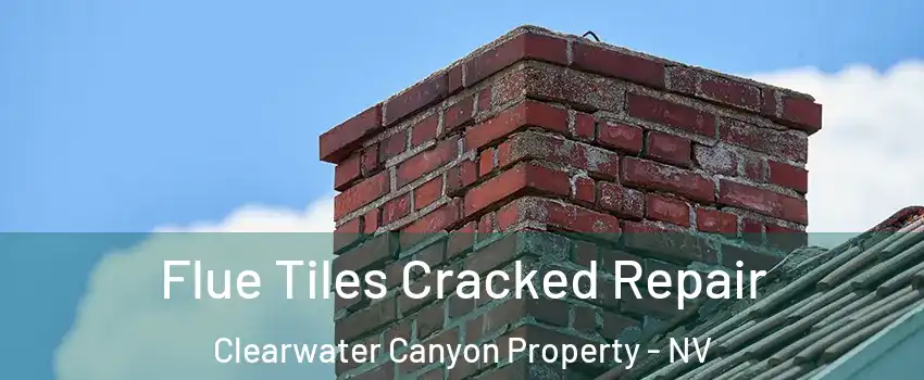 Flue Tiles Cracked Repair Clearwater Canyon Property - NV