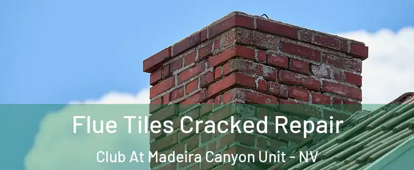 Flue Tiles Cracked Repair Club At Madeira Canyon Unit - NV