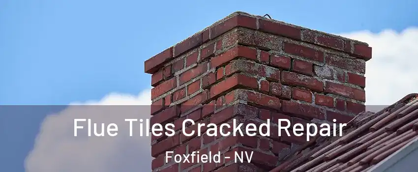 Flue Tiles Cracked Repair Foxfield - NV