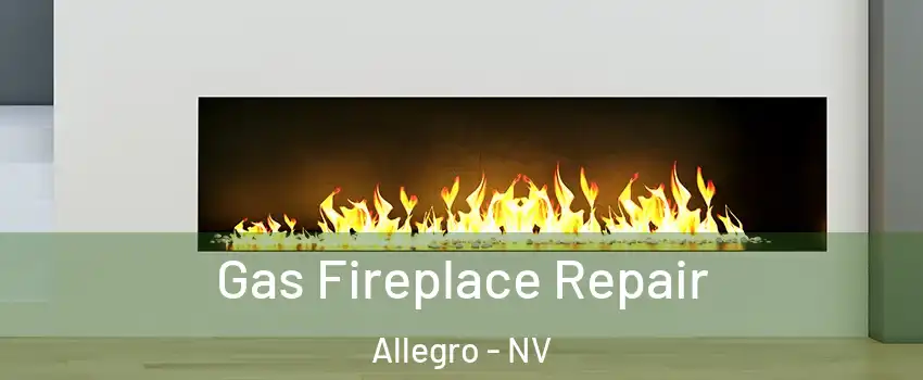 Gas Fireplace Repair Allegro - NV