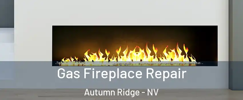 Gas Fireplace Repair Autumn Ridge - NV