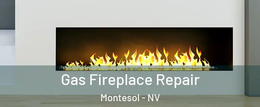 Gas Fireplace Repair Montesol - NV