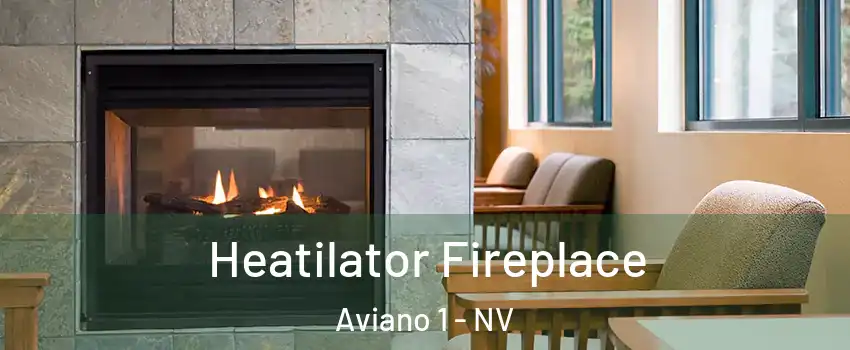 Heatilator Fireplace Aviano 1 - NV