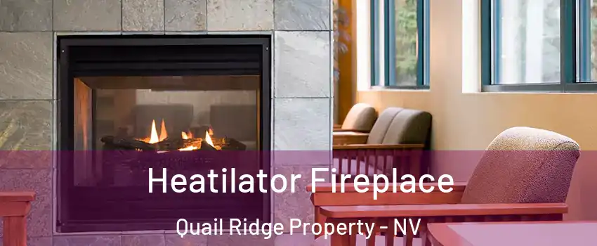 Heatilator Fireplace Quail Ridge Property - NV