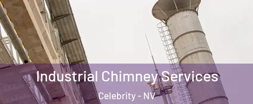 Industrial Chimney Services Celebrity - NV