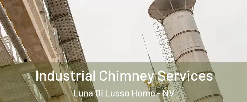 Industrial Chimney Services Luna Di Lusso Home - NV
