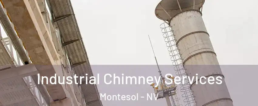 Industrial Chimney Services Montesol - NV