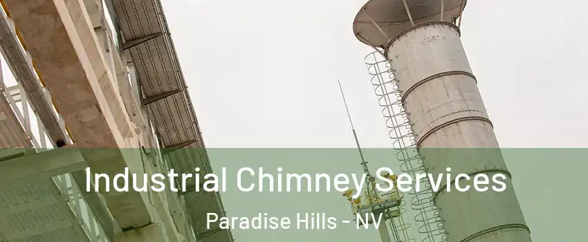 Industrial Chimney Services Paradise Hills - NV