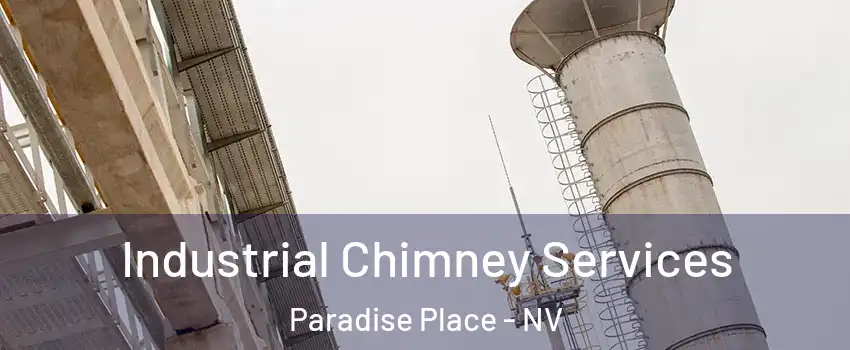 Industrial Chimney Services Paradise Place - NV