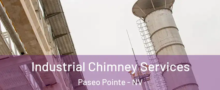 Industrial Chimney Services Paseo Pointe - NV