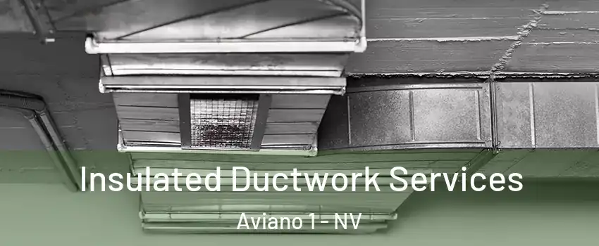 Insulated Ductwork Services Aviano 1 - NV