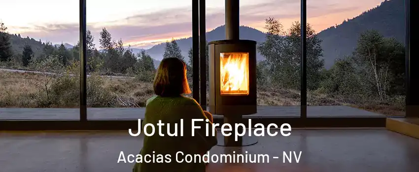 Jotul Fireplace Acacias Condominium - NV