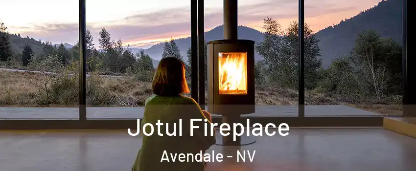 Jotul Fireplace Avendale - NV