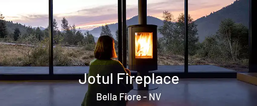 Jotul Fireplace Bella Fiore - NV