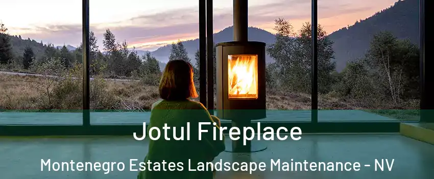 Jotul Fireplace Montenegro Estates Landscape Maintenance - NV