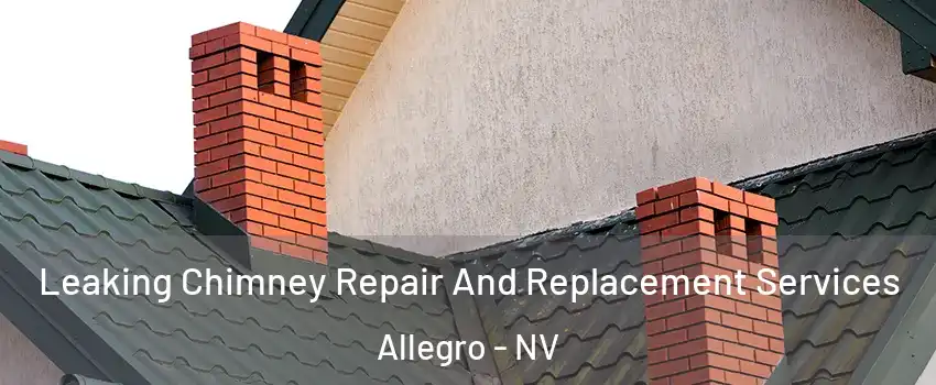 Leaking Chimney Repair And Replacement Services Allegro - NV