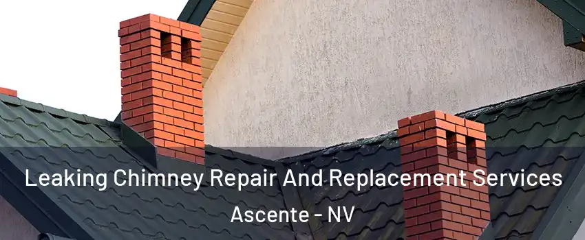 Leaking Chimney Repair And Replacement Services Ascente - NV