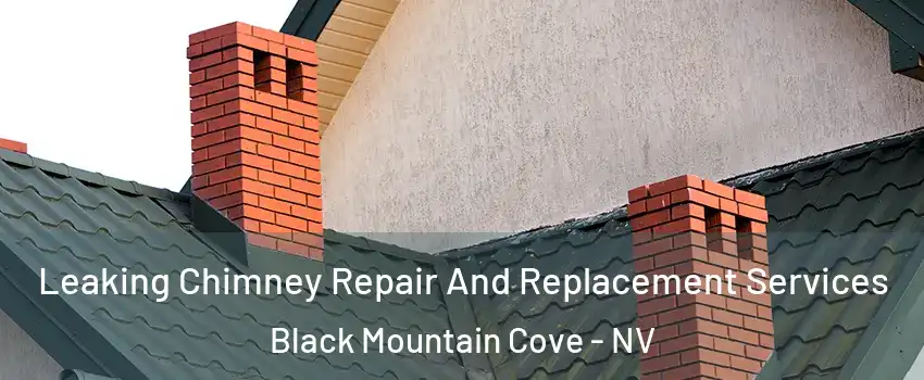 Leaking Chimney Repair And Replacement Services Black Mountain Cove - NV