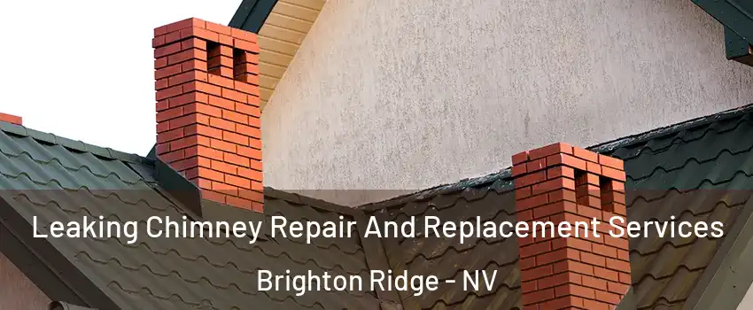 Leaking Chimney Repair And Replacement Services Brighton Ridge - NV