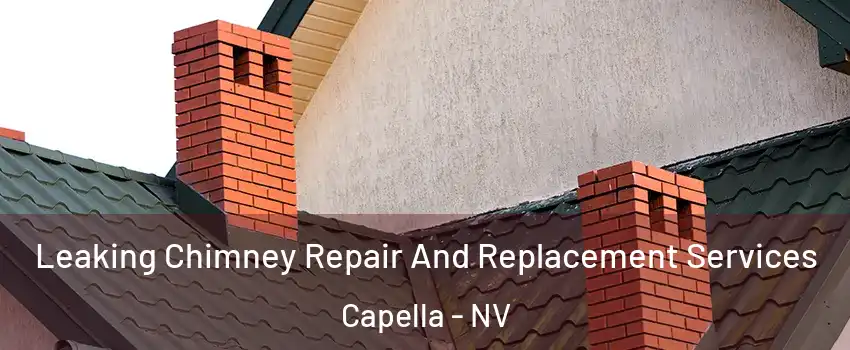 Leaking Chimney Repair And Replacement Services Capella - NV