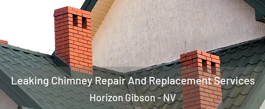Leaking Chimney Repair And Replacement Services Horizon Gibson - NV