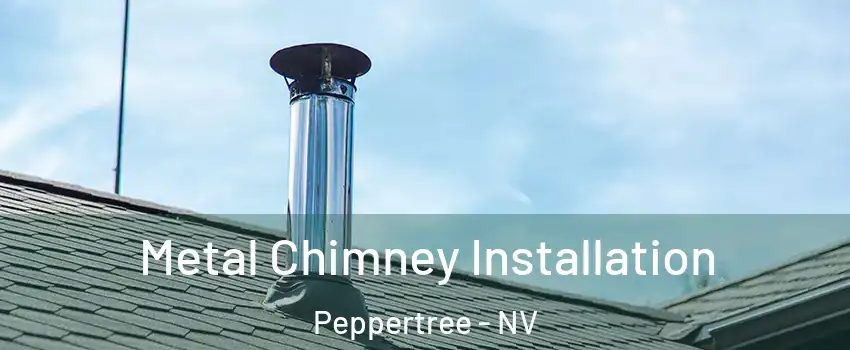 Metal Chimney Installation Peppertree - NV