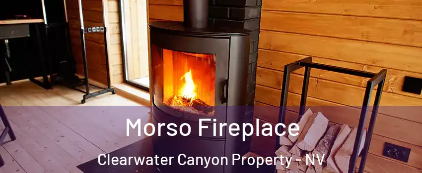 Morso Fireplace Clearwater Canyon Property - NV