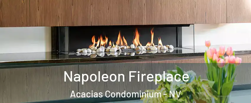 Napoleon Fireplace Acacias Condominium - NV