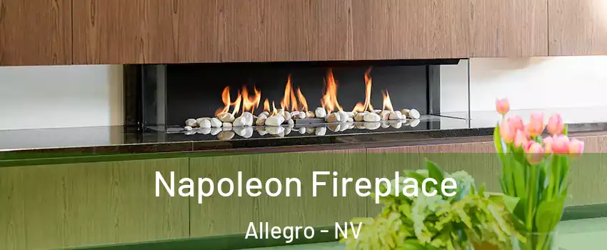 Napoleon Fireplace Allegro - NV