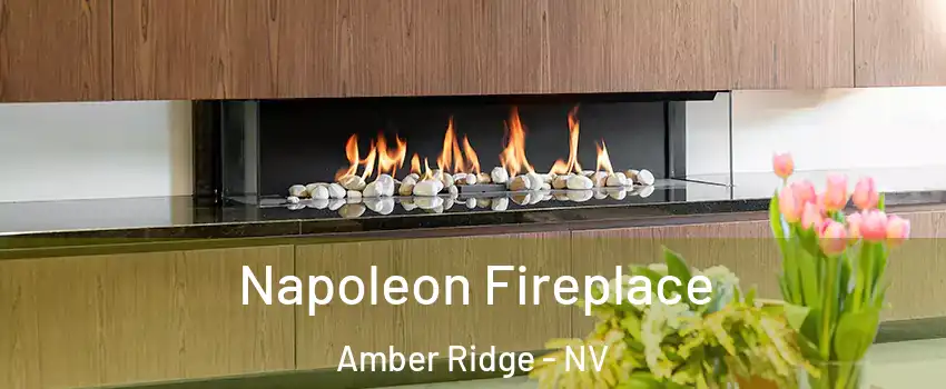 Napoleon Fireplace Amber Ridge - NV