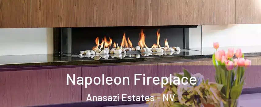 Napoleon Fireplace Anasazi Estates - NV