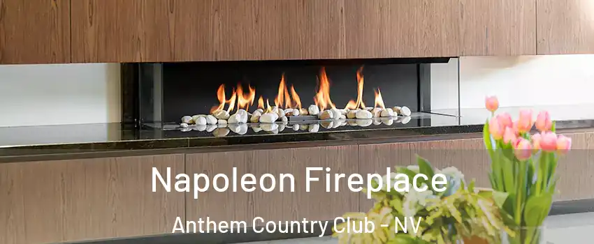 Napoleon Fireplace Anthem Country Club - NV