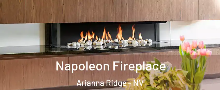 Napoleon Fireplace Arianna Ridge - NV