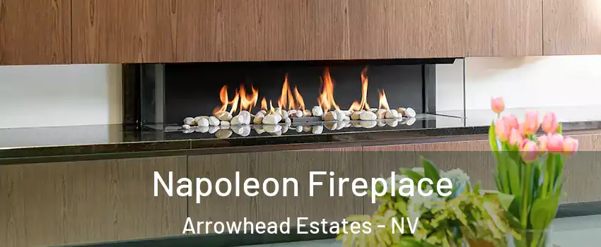 Napoleon Fireplace Arrowhead Estates - NV