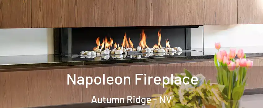 Napoleon Fireplace Autumn Ridge - NV