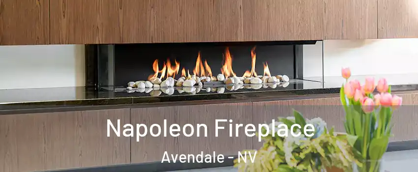 Napoleon Fireplace Avendale - NV