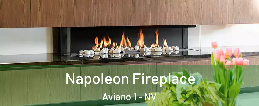 Napoleon Fireplace Aviano 1 - NV