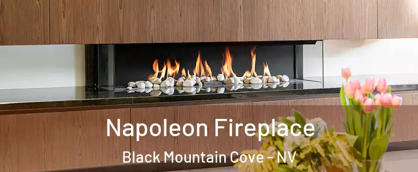 Napoleon Fireplace Black Mountain Cove - NV
