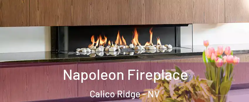 Napoleon Fireplace Calico Ridge - NV