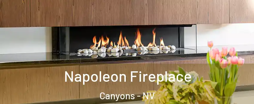 Napoleon Fireplace Canyons - NV