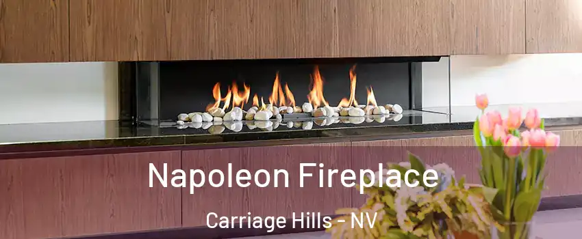 Napoleon Fireplace Carriage Hills - NV