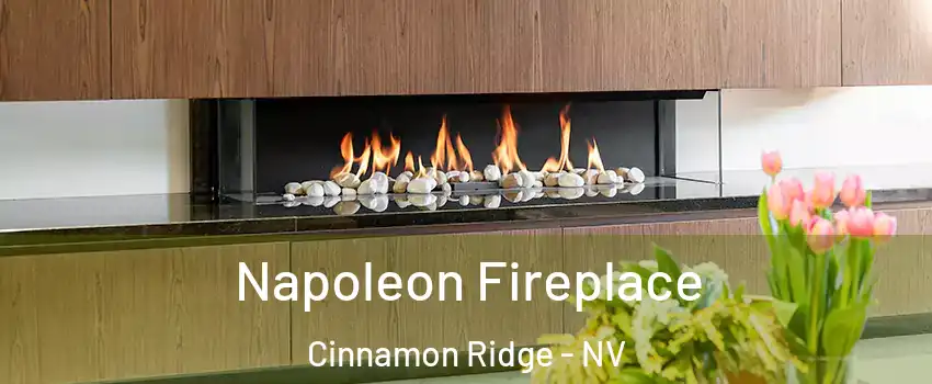Napoleon Fireplace Cinnamon Ridge - NV