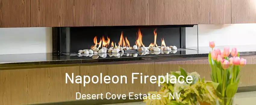 Napoleon Fireplace Desert Cove Estates - NV