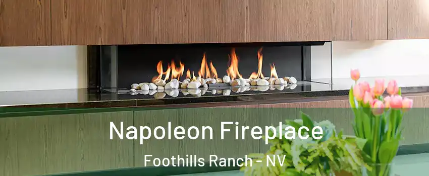 Napoleon Fireplace Foothills Ranch - NV
