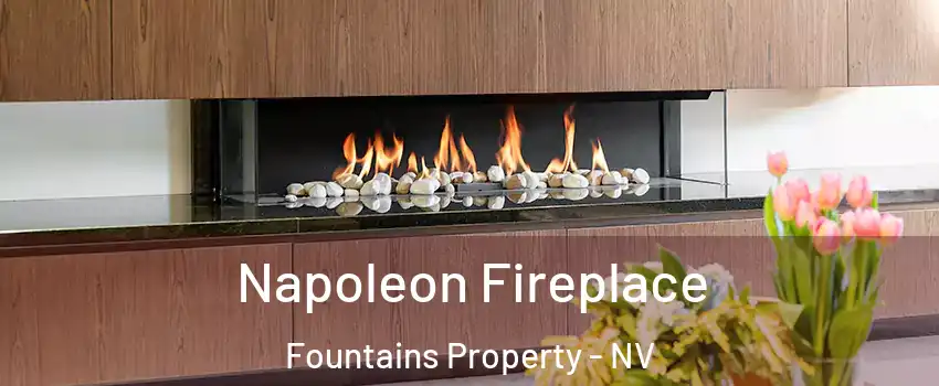 Napoleon Fireplace Fountains Property - NV