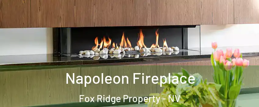 Napoleon Fireplace Fox Ridge Property - NV