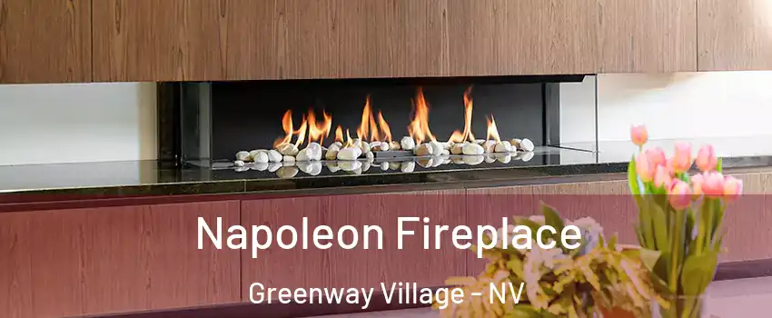 Napoleon Fireplace Greenway Village - NV