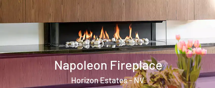 Napoleon Fireplace Horizon Estates - NV